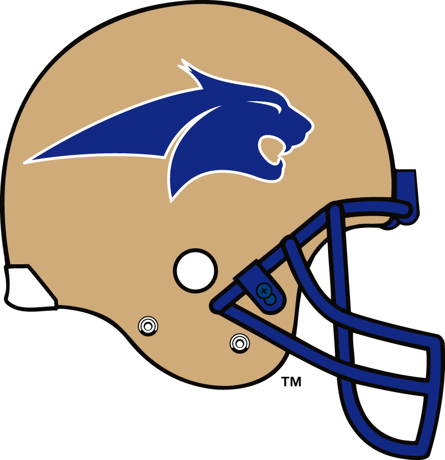 Montana State Bobcats 1997-1999 Helmet Logo diy iron on heat transfer